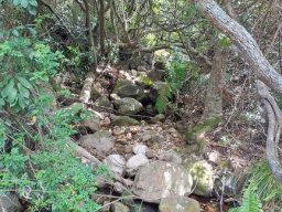 Seasonal rivulet